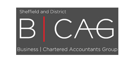Business Chartered Accountants Group