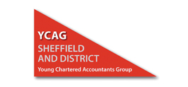 Young Chartered Accountants Group